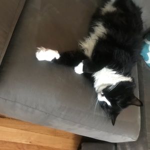 Meet your Posher, Carleen